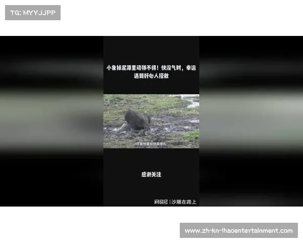 贝西克塔斯因表现不佳考虑冬窗提前解约阿里引发关注 贝西克塔斯因表现不佳考虑冬窗提前解约阿里引发关注